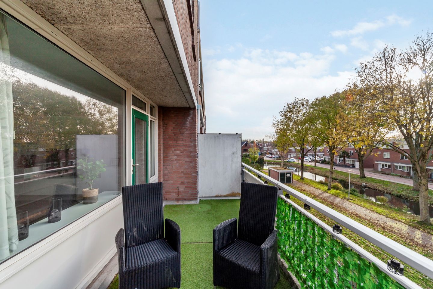 Foto 25 van Penningkruid 9