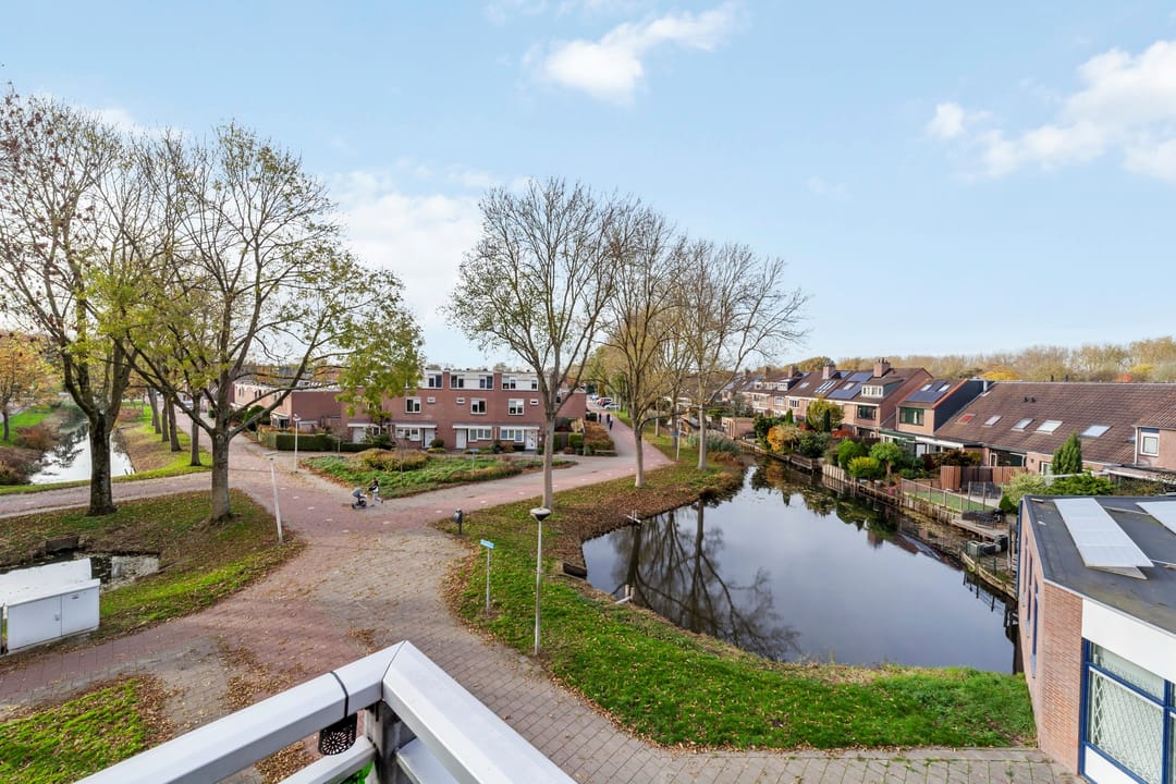 Foto 26 van Penningkruid 9