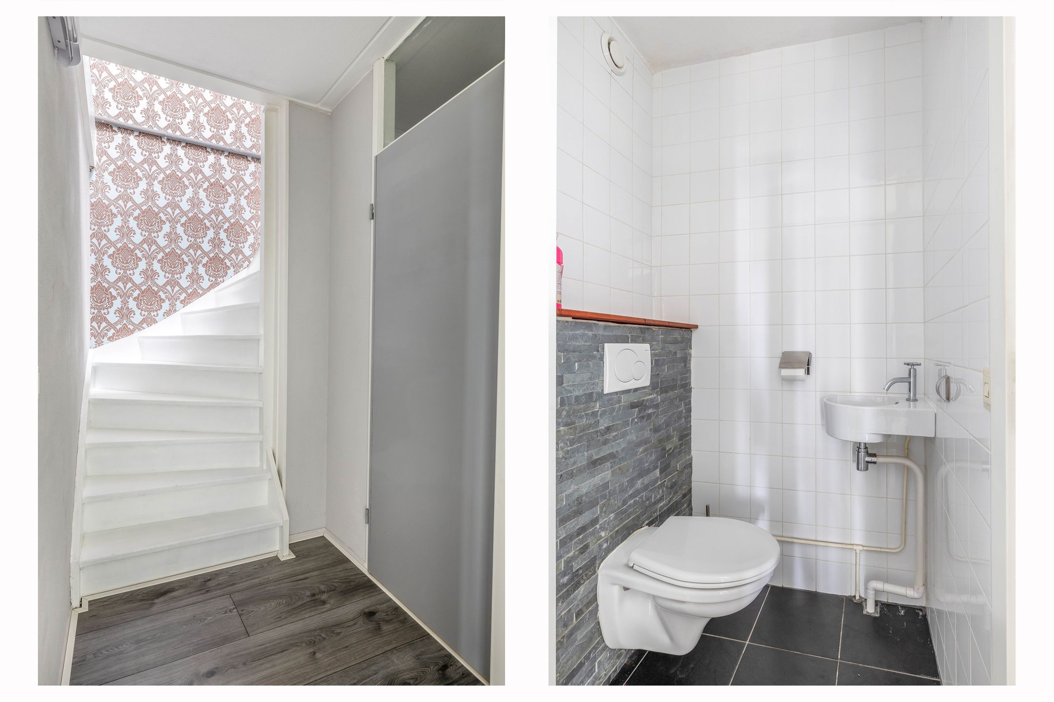 Foto 27 van Penningkruid 9