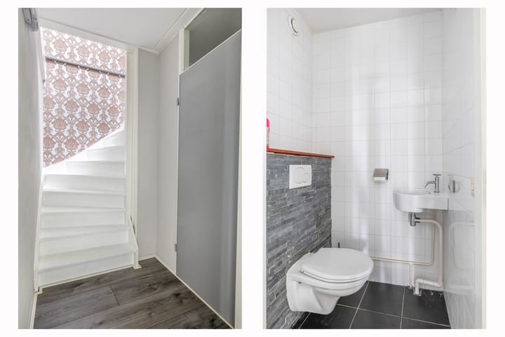 Foto 27 van Penningkruid 9