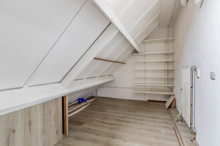 Foto 36 van Penningkruid 9