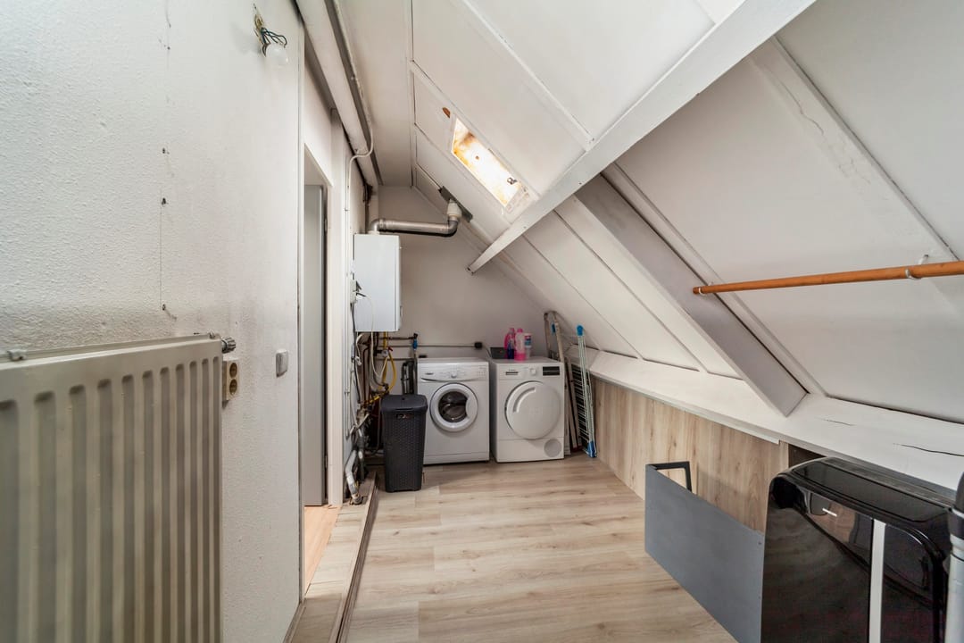 Foto 37 van Penningkruid 9