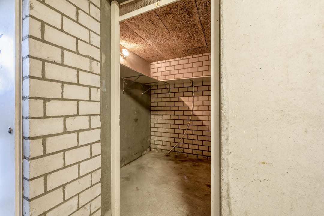 Foto 38 van Penningkruid 9