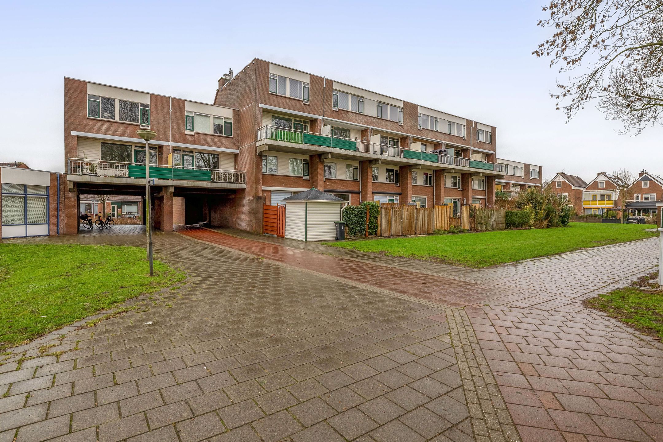 Foto 39 van Penningkruid 9