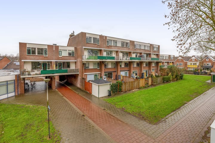 Foto 40 van Penningkruid 9