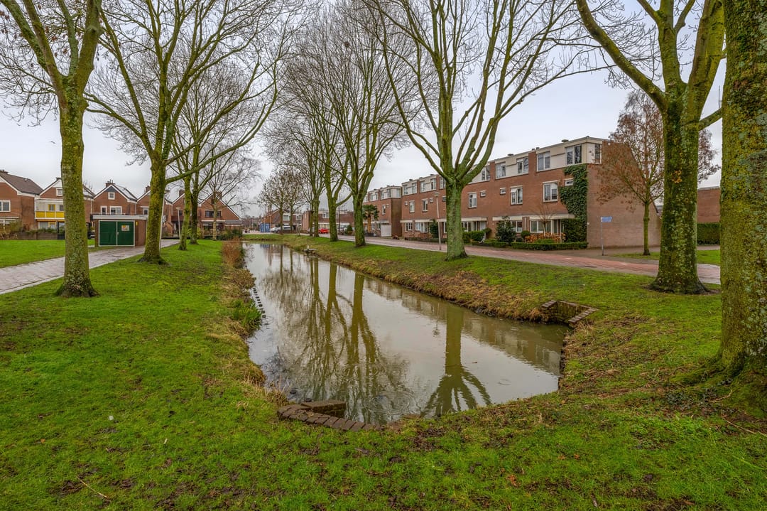 Foto 41 van Penningkruid 9