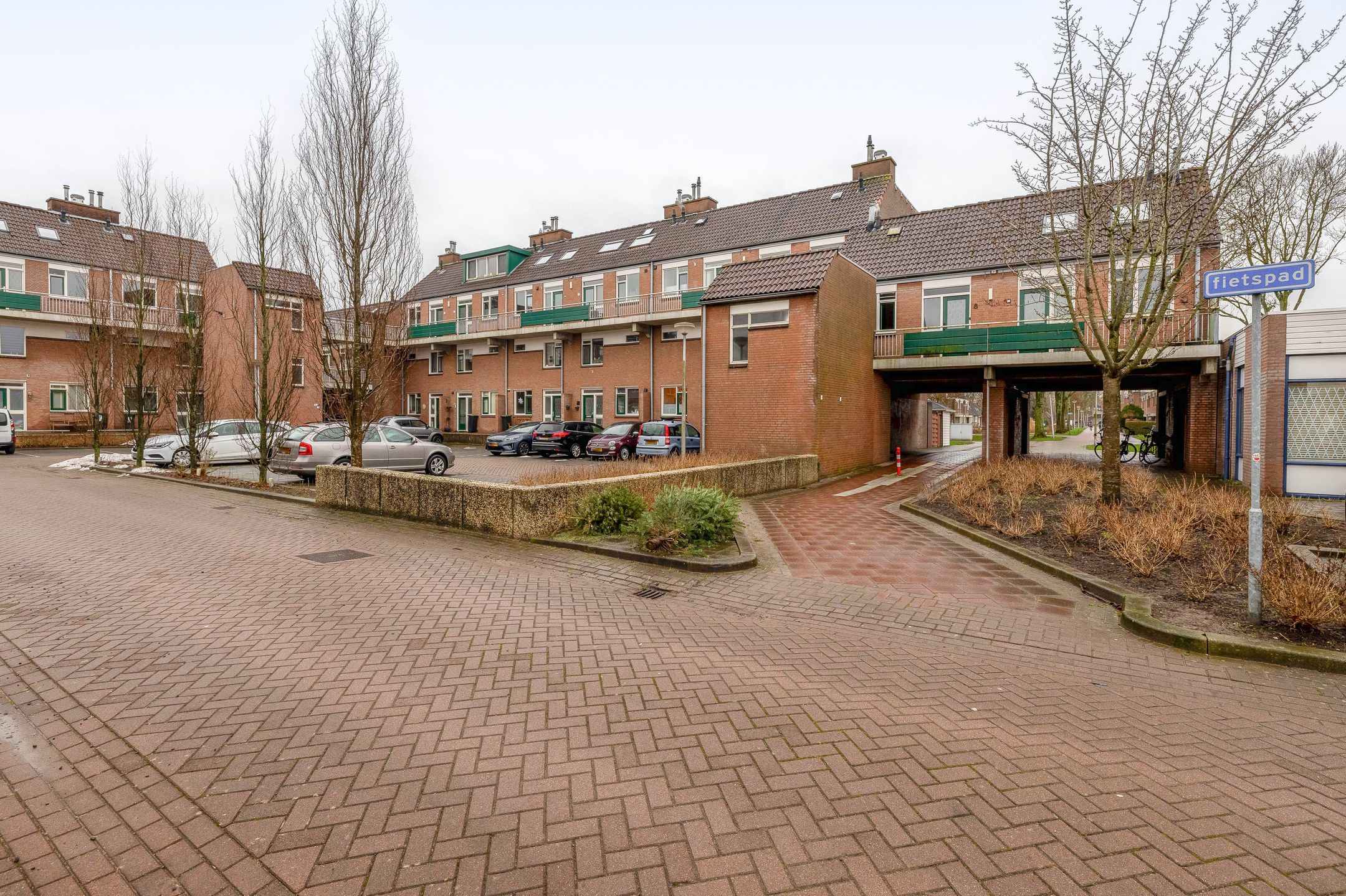 Foto 42 van Penningkruid 9