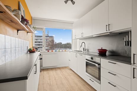 Molengraaffplantsoen 34 secondary image