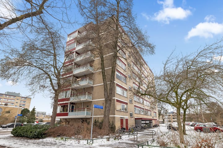 Foto 4 van Molengraaffplantsoen 34