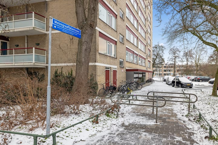 Foto 33 van Molengraaffplantsoen 34