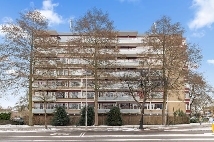 Foto 35 van Molengraaffplantsoen 34