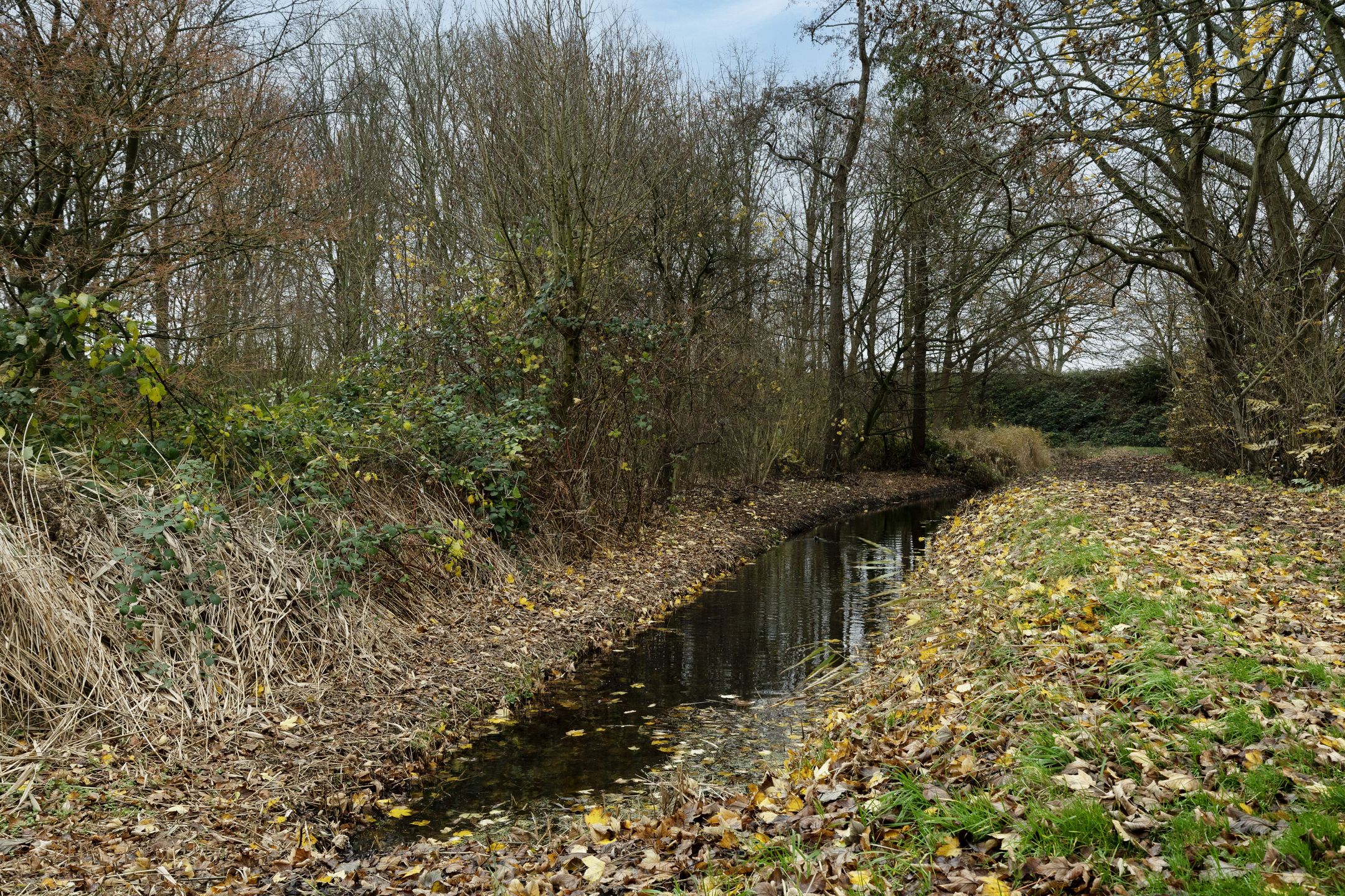 Foto 48 van Sandelingeweg 10