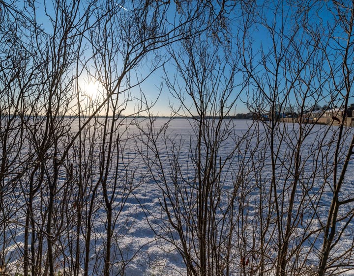 Foto 20 van de Oude Melkhaven 20