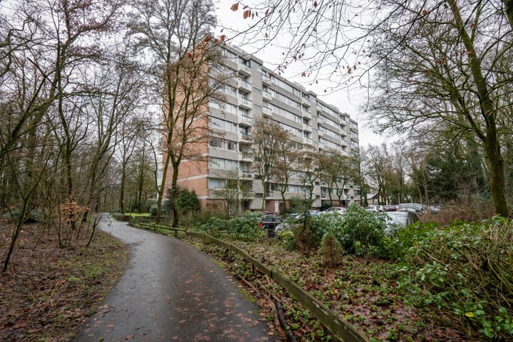 Foto 6 van De Zalmen 118