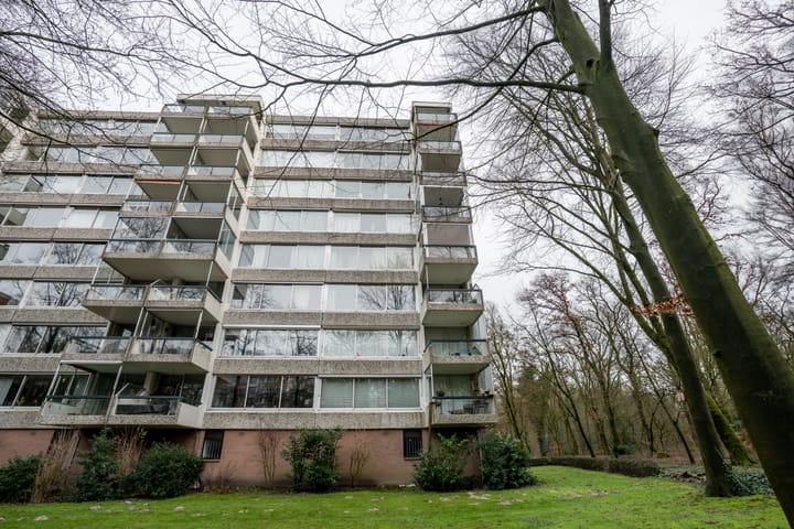 Foto 7 van De Zalmen 118