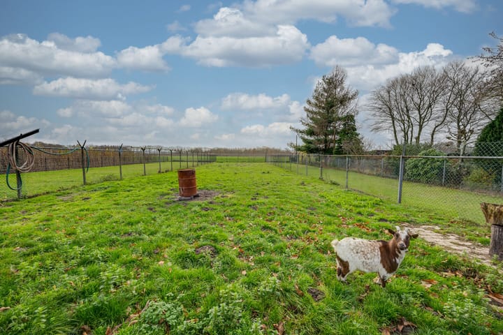 Foto 65 van Kreitenmolenstraat 182