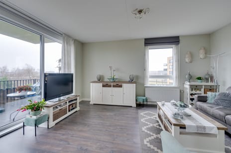 Mira 10 tertiary image