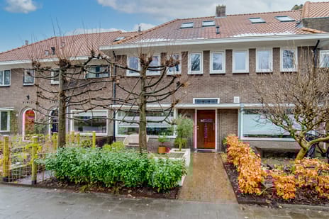 Hortensiastraat thumbnail