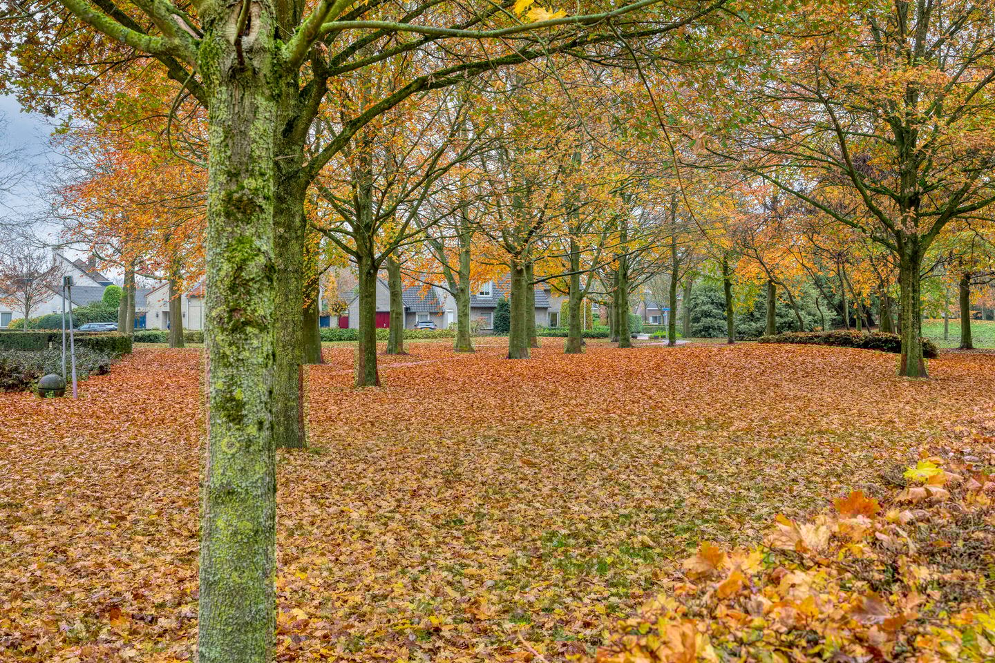 Photo 29 of Afrikalaan 68