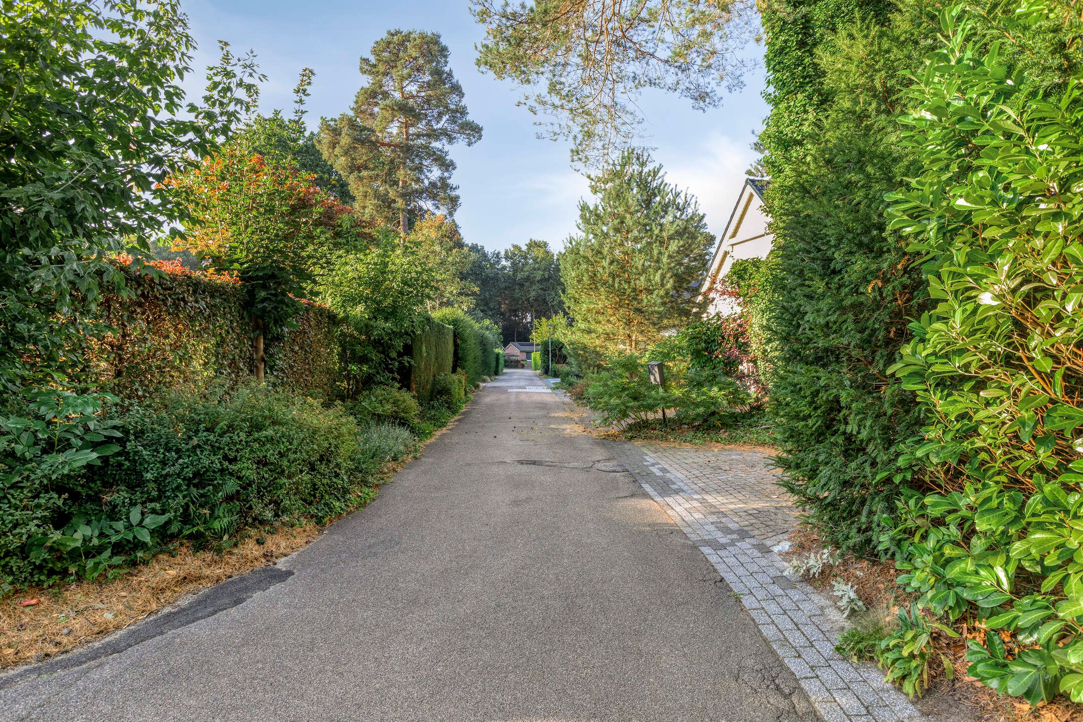 Foto 27 van Bungalowpark Rothenbach 16