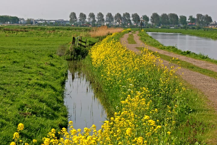 Foto 36 van Badelochstraat 6