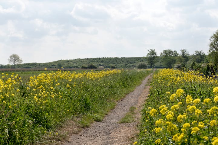 Foto 40 van Badelochstraat 6