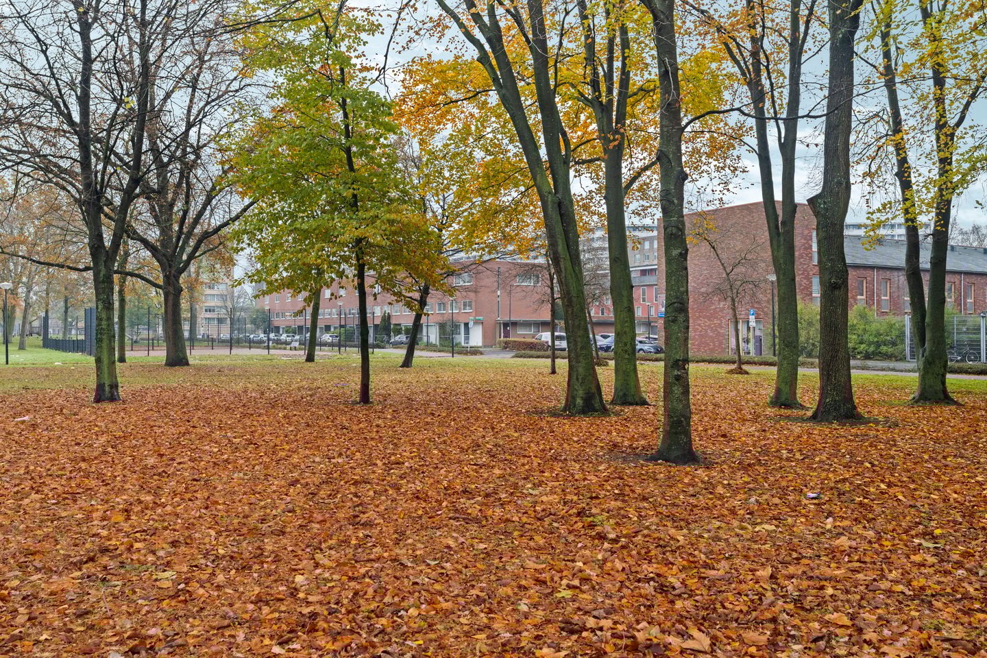 Foto 29 van Raden Adjeng Kartinistraat 5