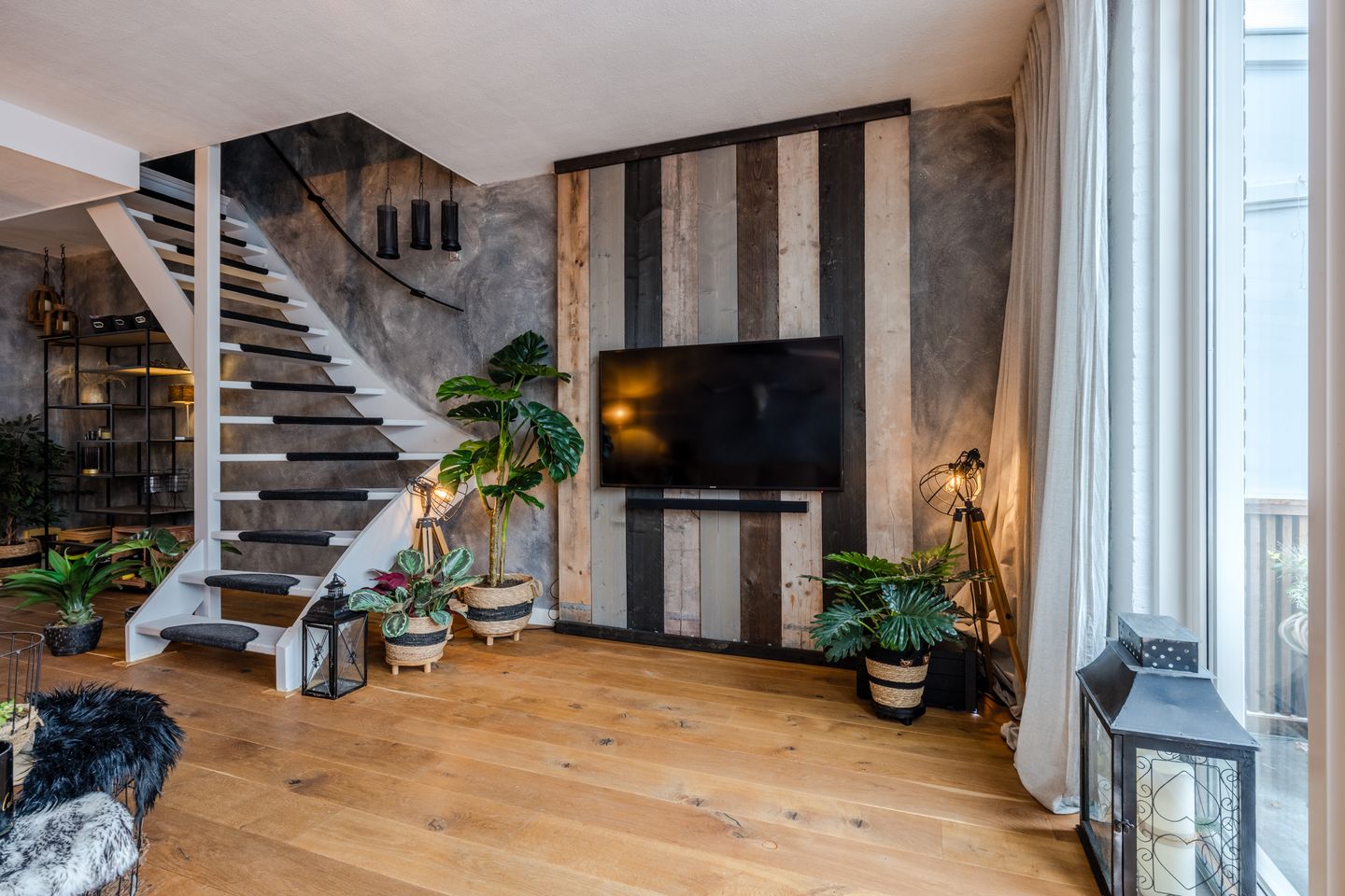 Foto 4 van de Windhond 7