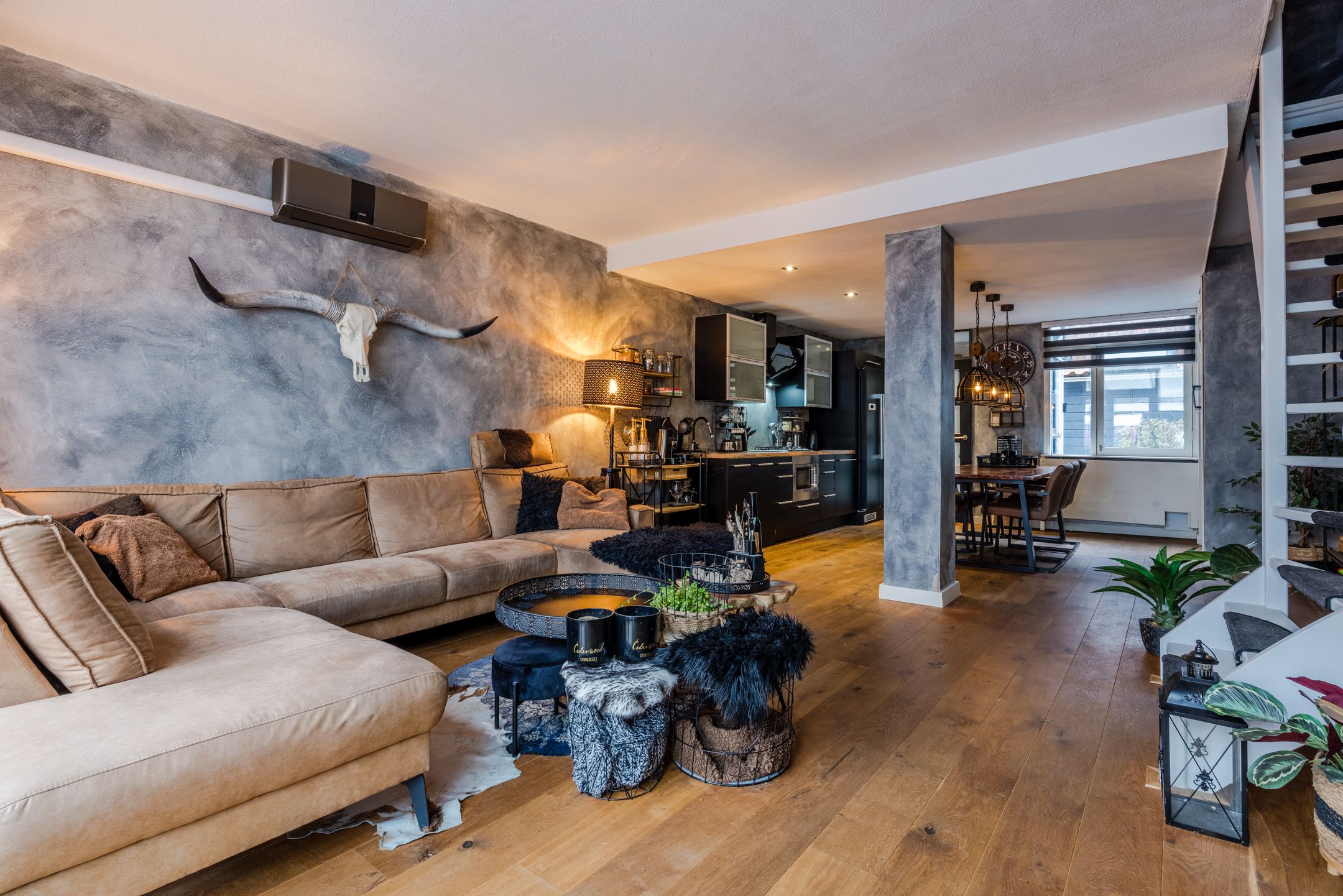 Foto 6 van de Windhond 7