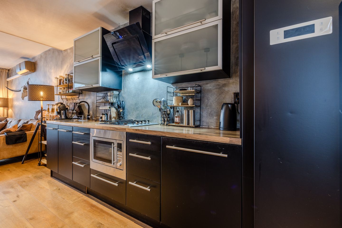 Foto 10 van de Windhond 7