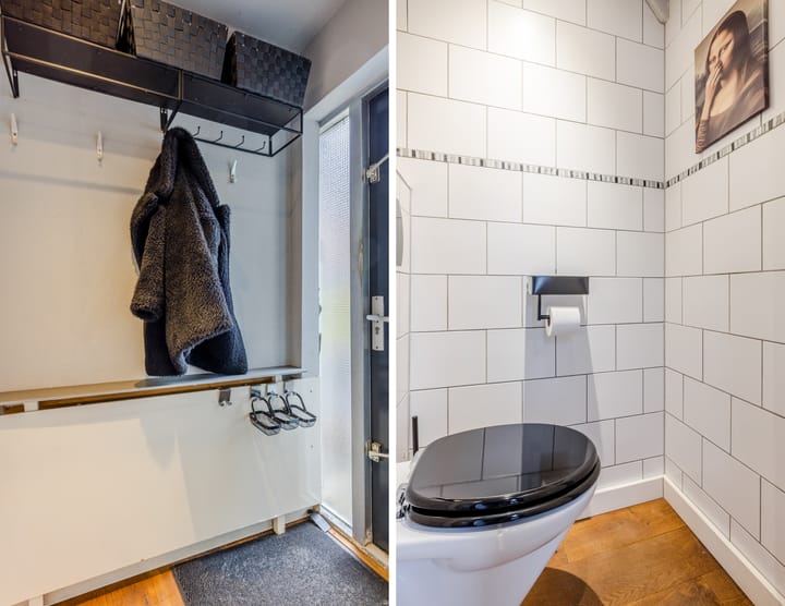 Foto 12 van de Windhond 7