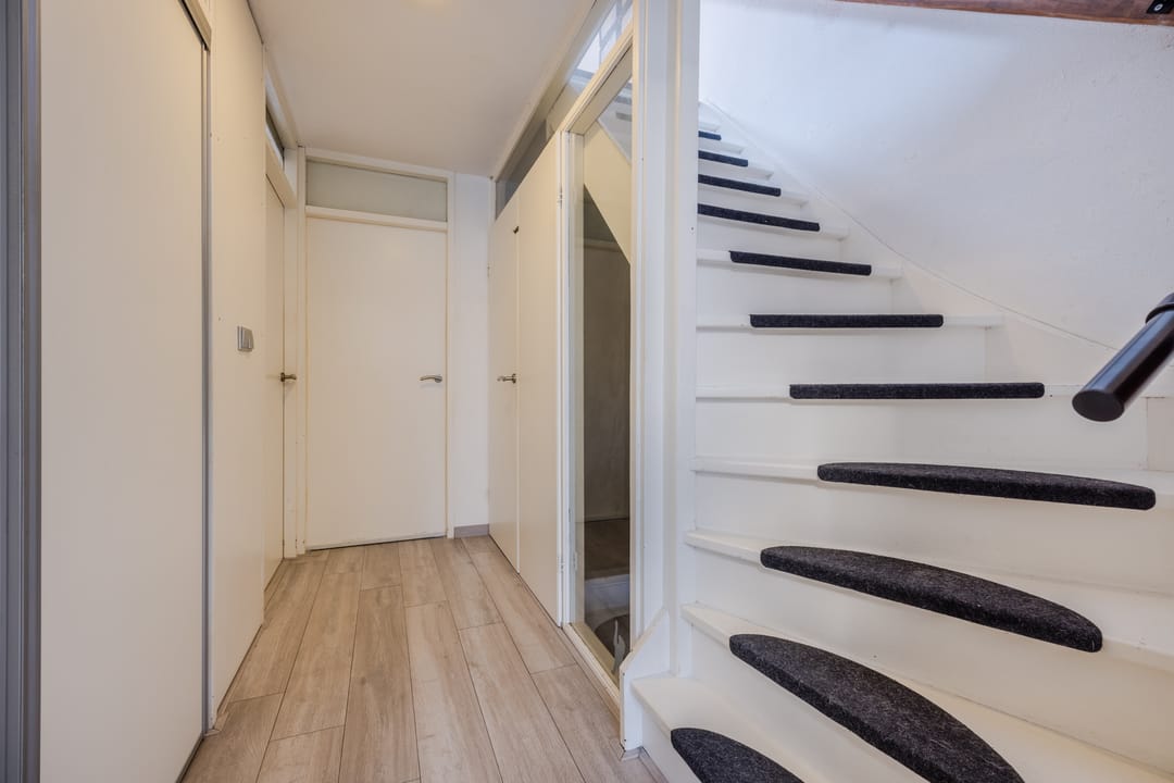 Foto 13 van de Windhond 7