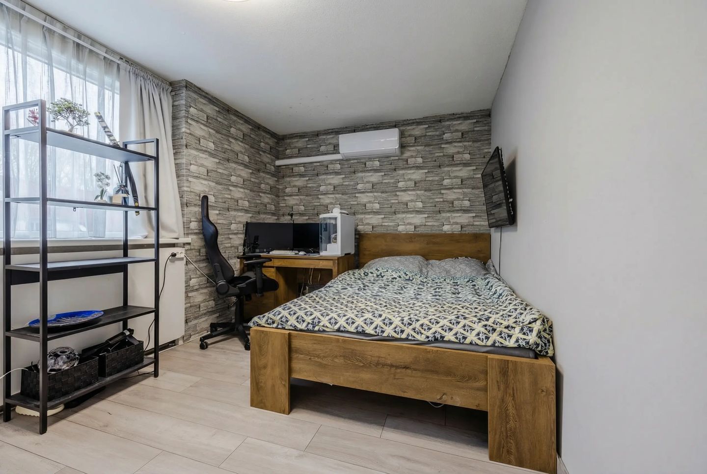 Foto 14 van de Windhond 7