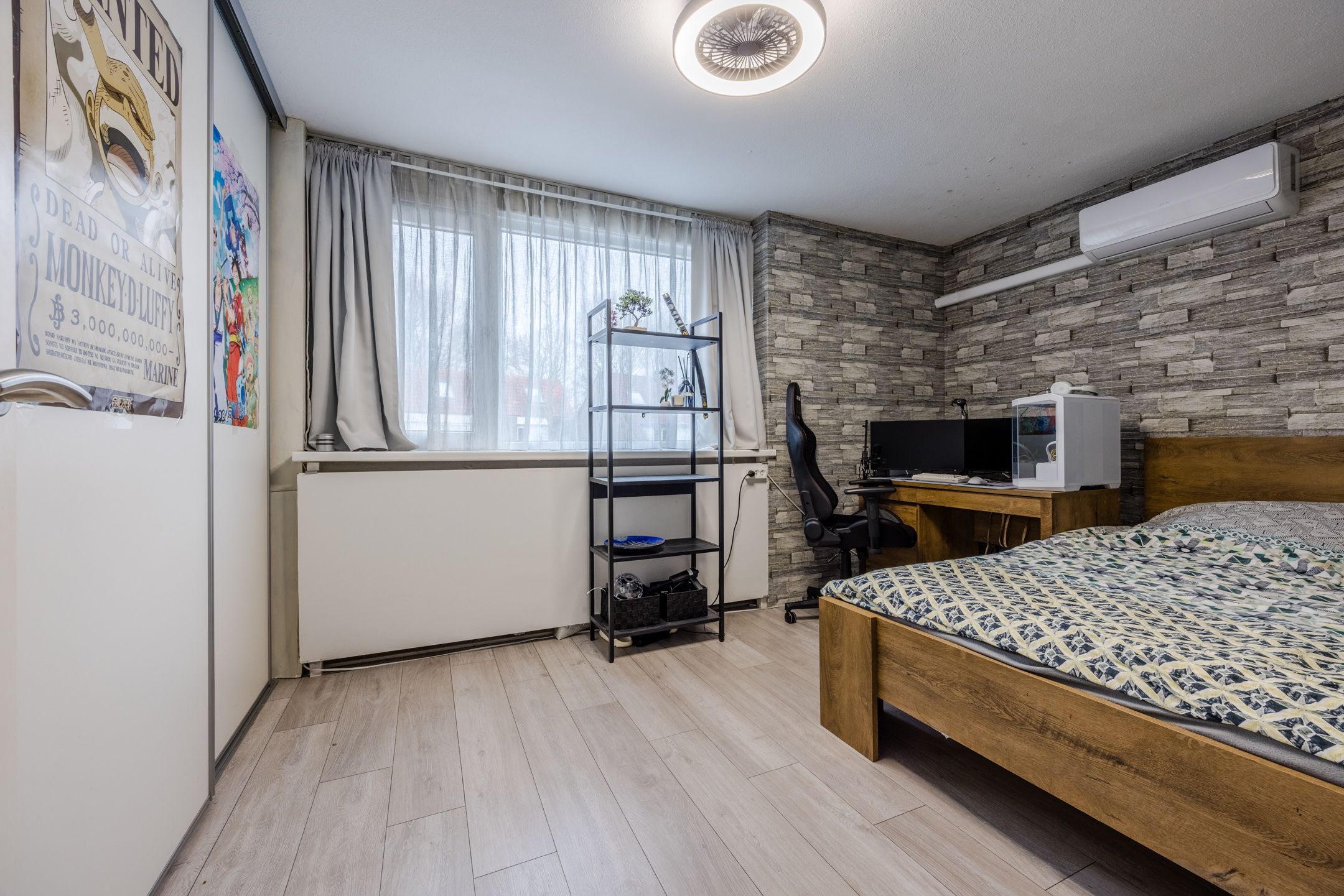 Foto 15 van de Windhond 7