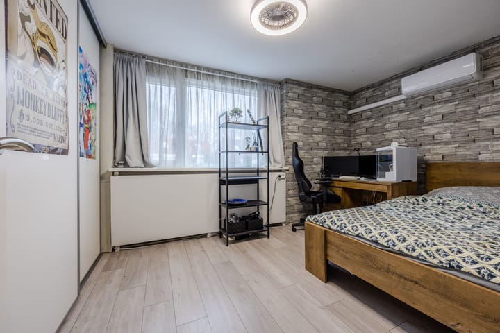 Foto 15 van de Windhond 7