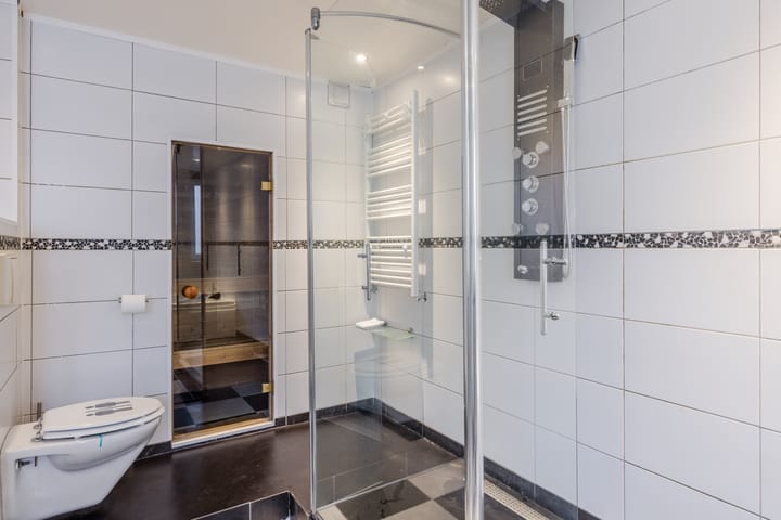 Foto 21 van de Windhond 7