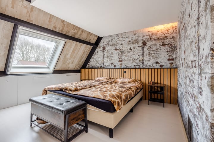 Foto 23 van de Windhond 7