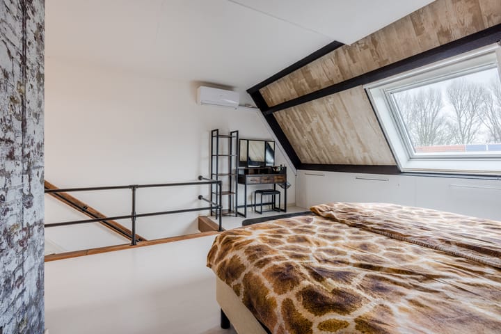 Foto 24 van de Windhond 7