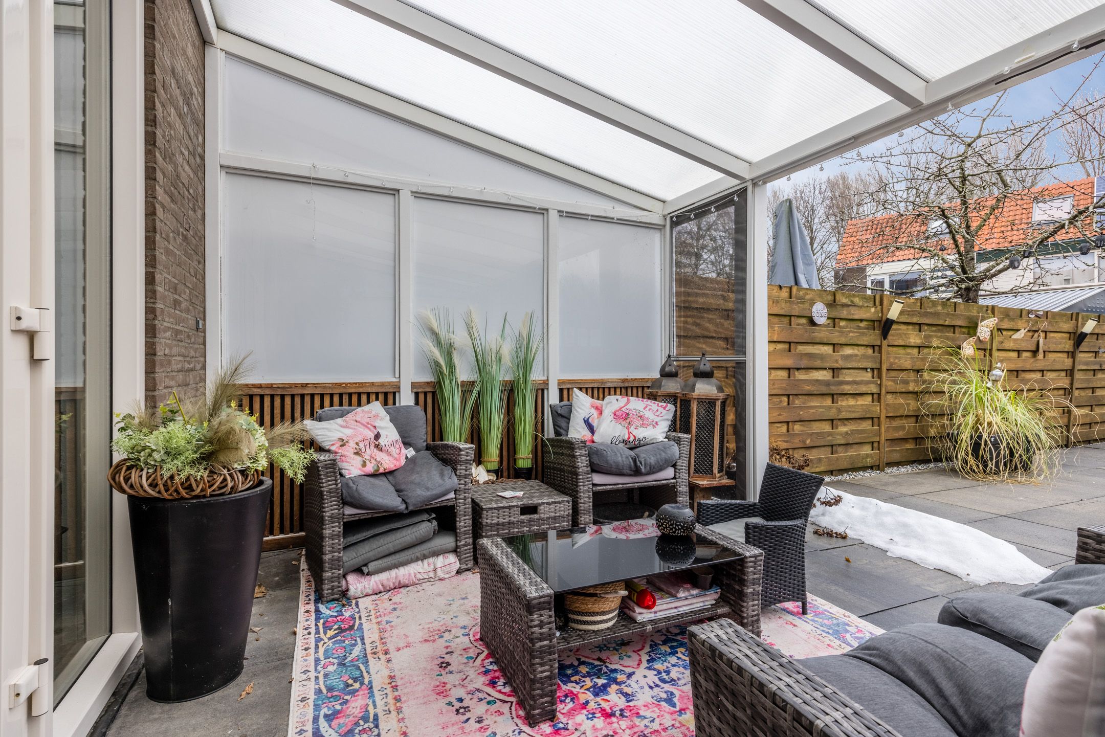 Foto 27 van de Windhond 7