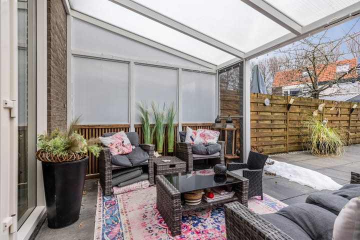 Foto 27 van de Windhond 7