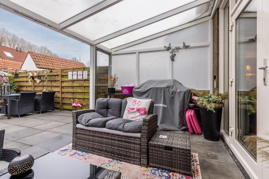 Foto 28 van de Windhond 7