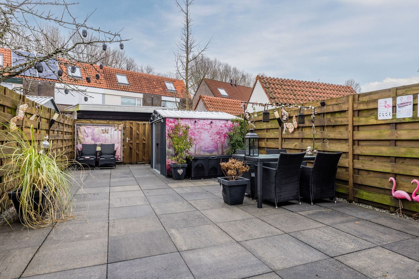 Foto 29 van de Windhond 7