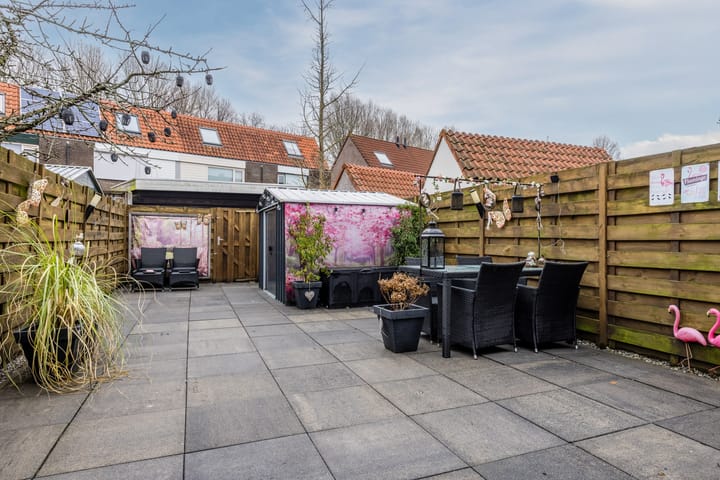 Foto 29 van de Windhond 7