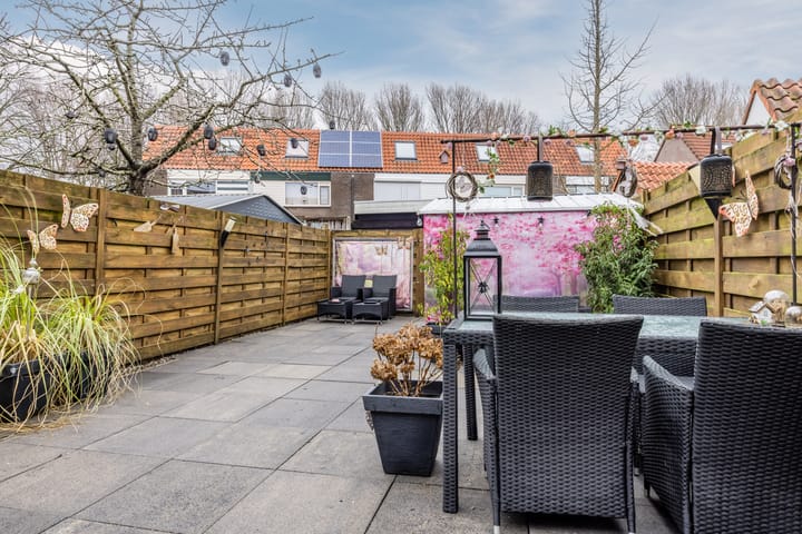 Foto 30 van de Windhond 7