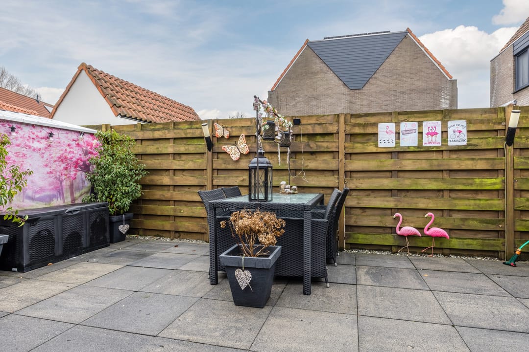 Foto 31 van de Windhond 7