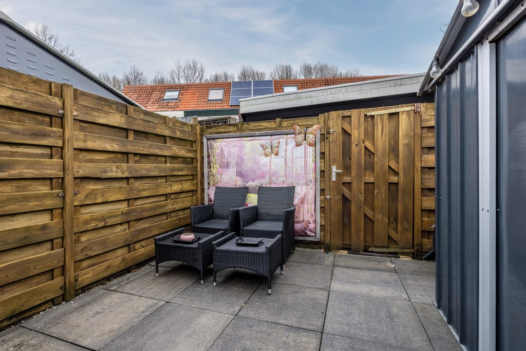 Foto 32 van de Windhond 7