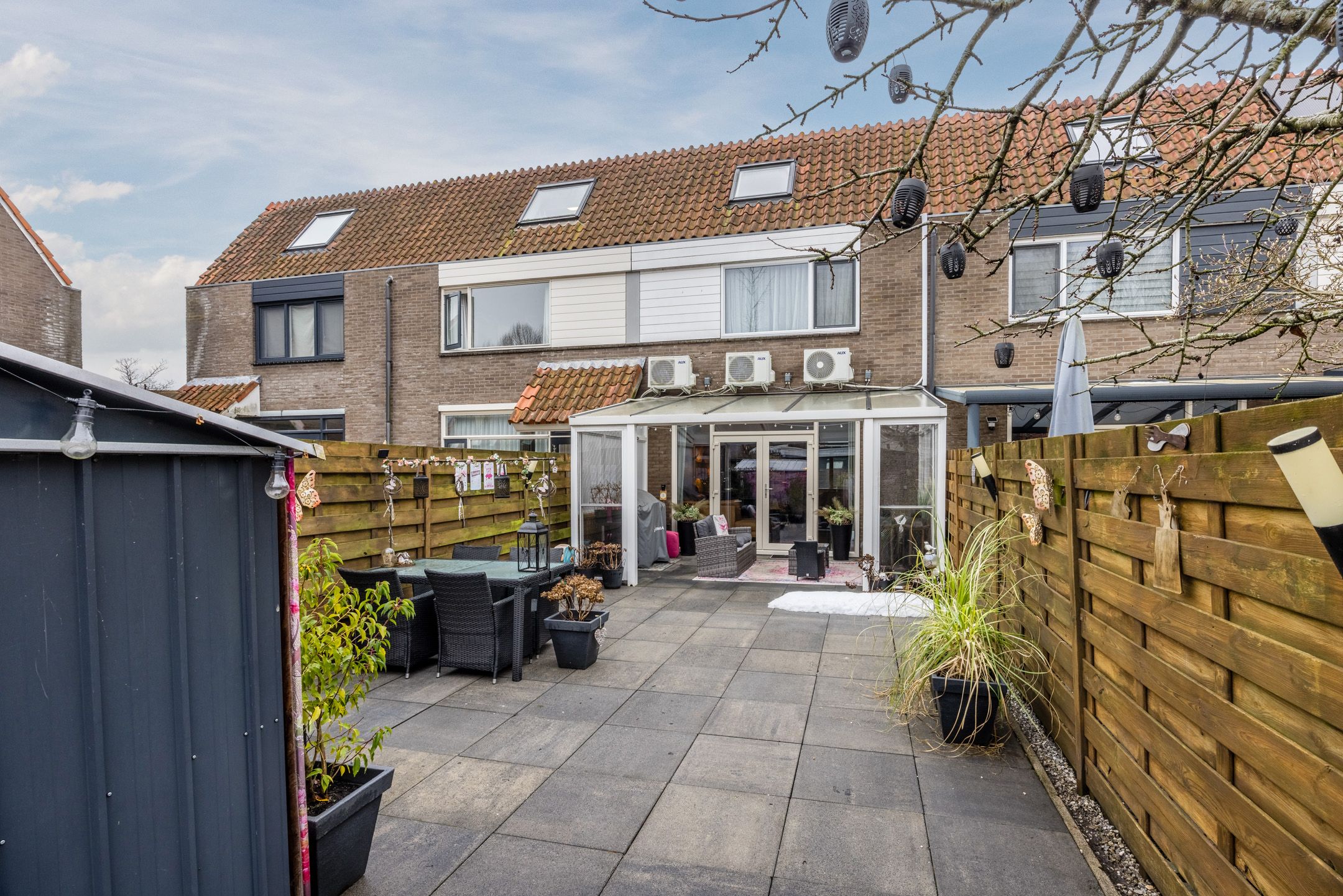 Foto 33 van de Windhond 7