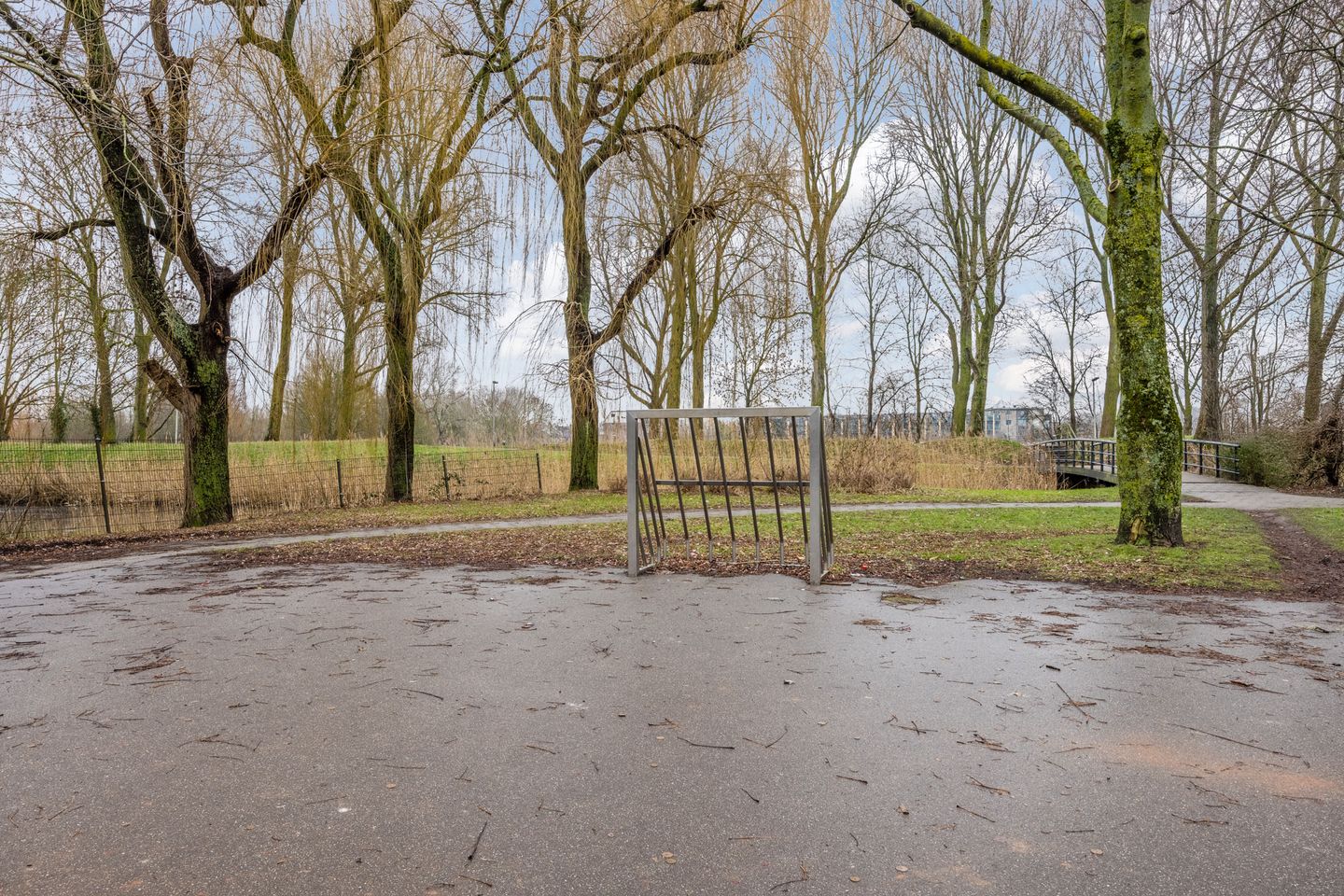 Foto 35 van de Windhond 7