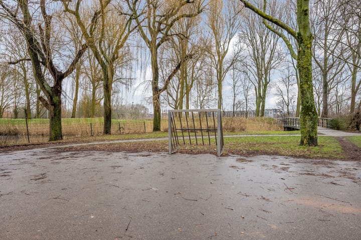 Foto 35 van de Windhond 7