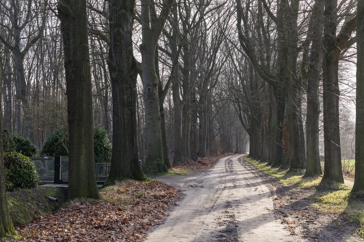 Foto 37 van Oude Borculoseweg 6